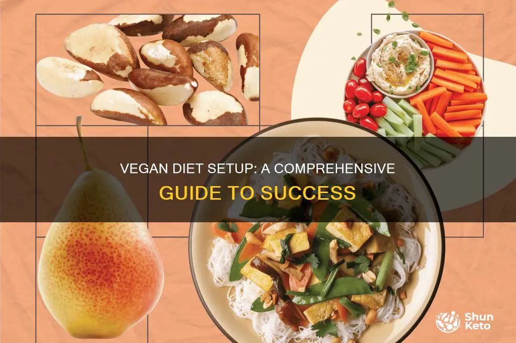 how to setup for a vegan diet