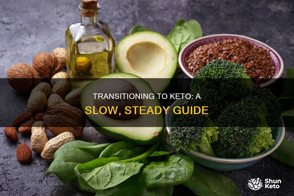 how to shift the body slowly to the ketogenic diet