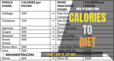 Gradual Calorie Increase: A Safe Diet Strategy