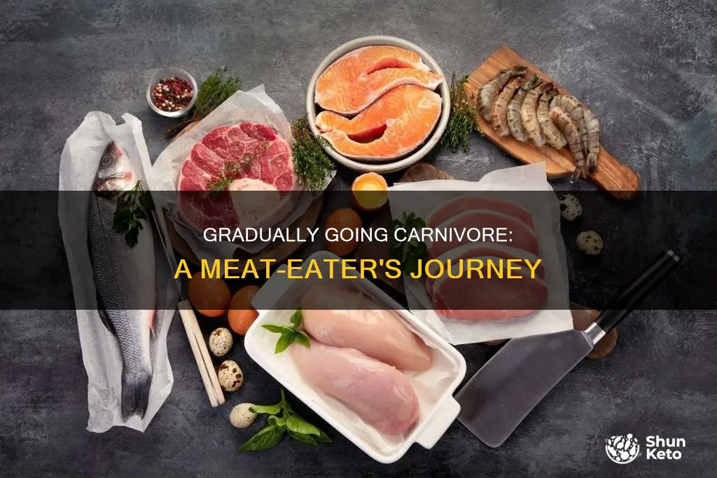 how to slowly start incorporating meat into diet