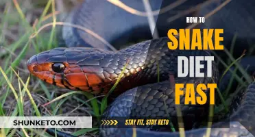 Snake Diet Fasting: A Comprehensive Guide to Quick Results