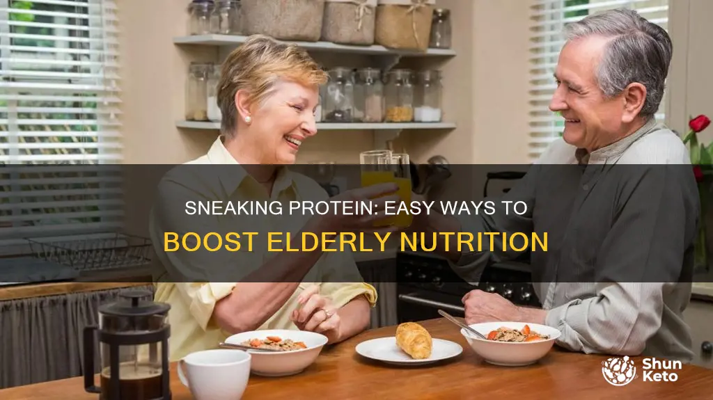 how to sneak protein into diet for elderly