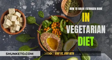 Solving Estrogen Issues in Vegetarian Diets: A Healthy Guide