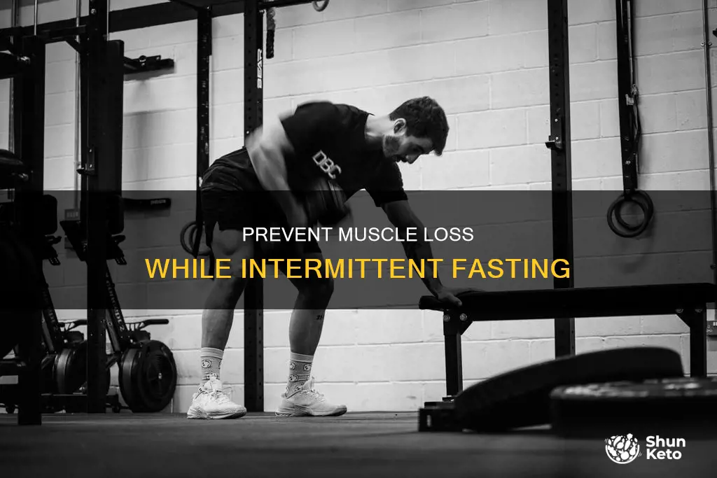 how to spare muscle loss on intermittetant fasting diet