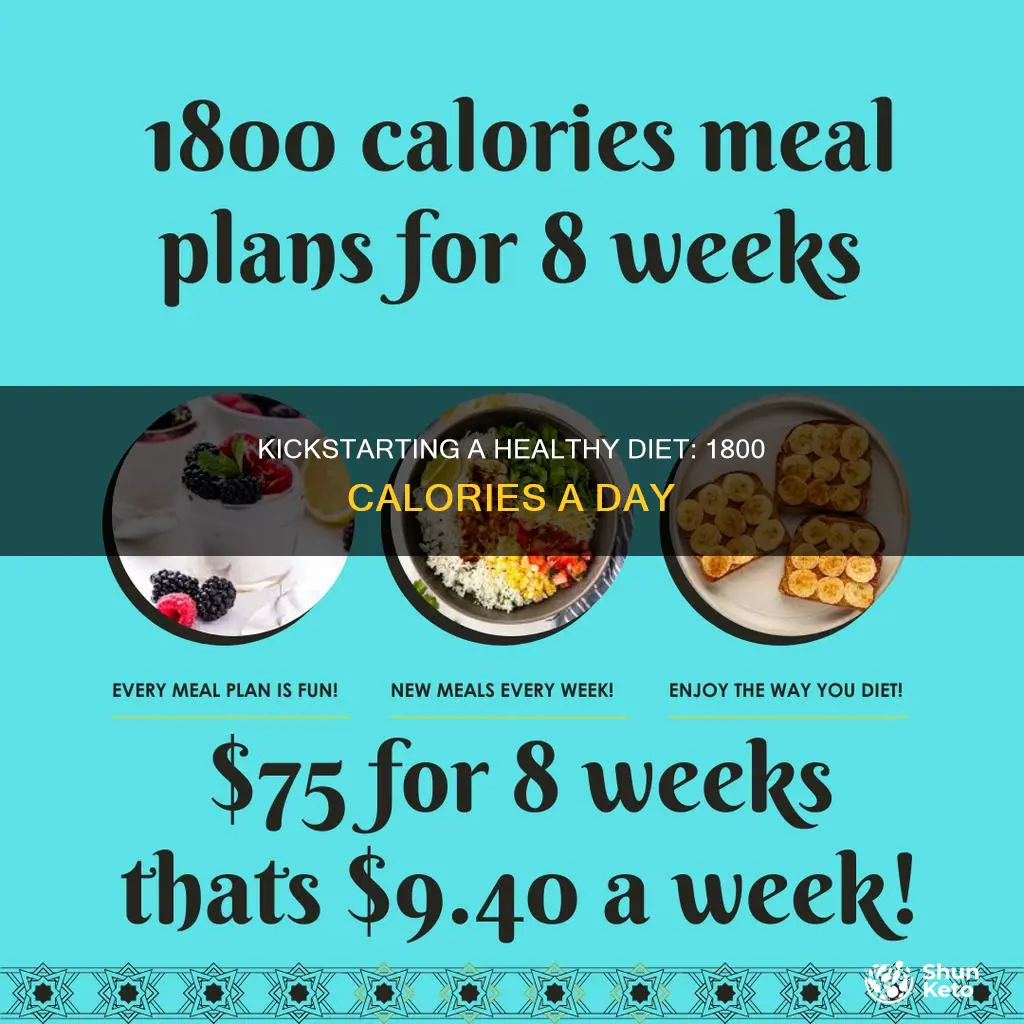 how to start a 1800 calorie diet