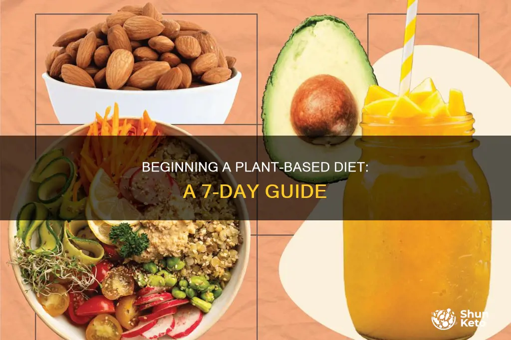 how to start a 7 day plant based diet