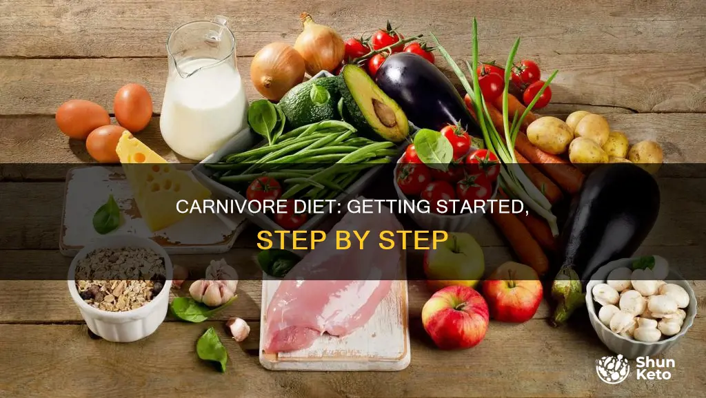 how to start a carnaviore diet