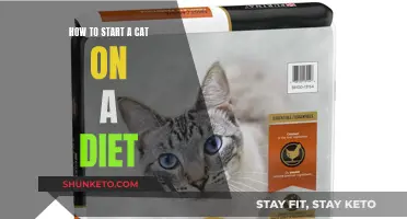 Starting a Cat Diet: Tips and Tricks