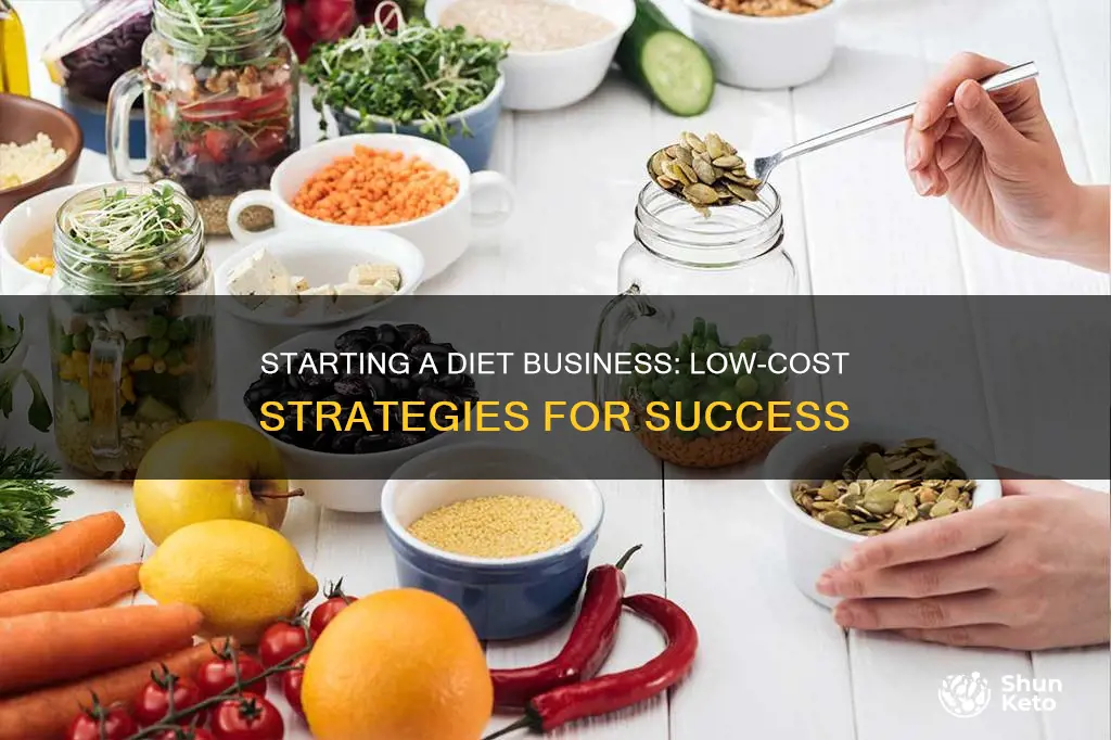 how to start a diet business no money down