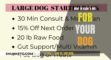 Beginning a Dog Diet: Steps to Take