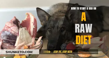 Transitioning Your GSD to Raw: A Beginner's Guide