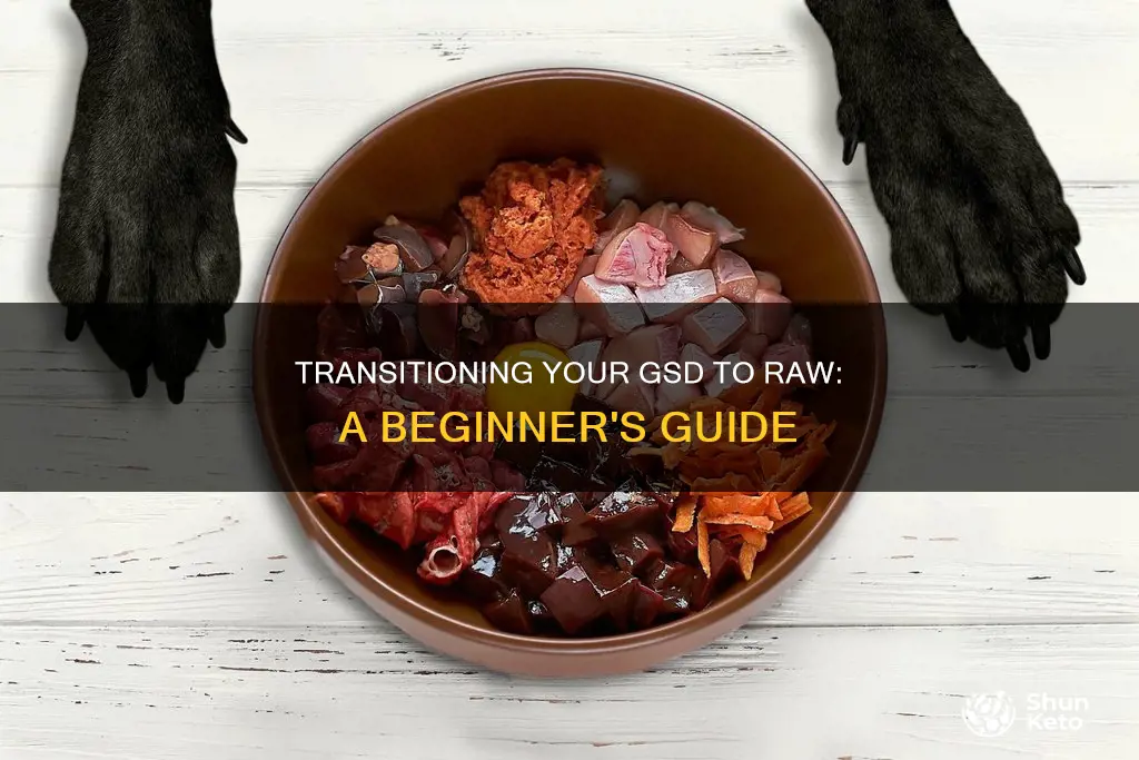 how to start a gsd on a raw diet