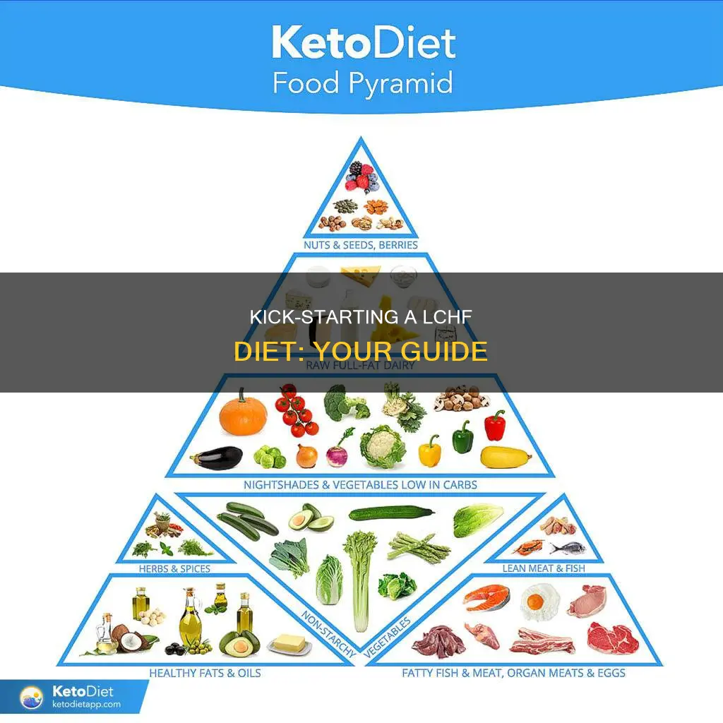 how to start a lchf diet