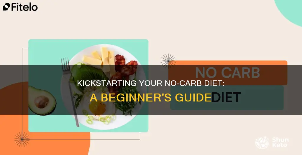 how to start a no carb diet