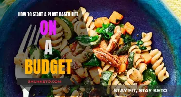 Plant-Based Diet: Budget-Friendly Tips for Beginners