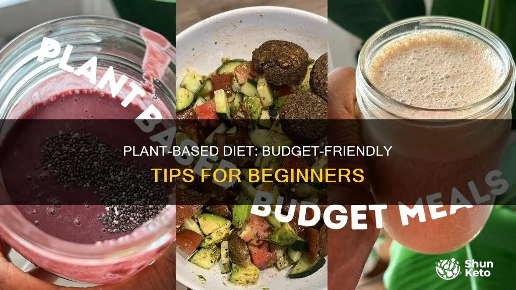 how to start a plant based diet on a budget