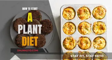 Beginning a Plant-Based Diet: A Guide for Newbies