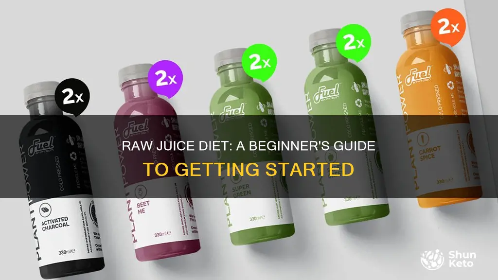 how to start a raw juice diet