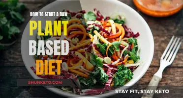 Beginning a Raw Plant-Based Diet: A Guide