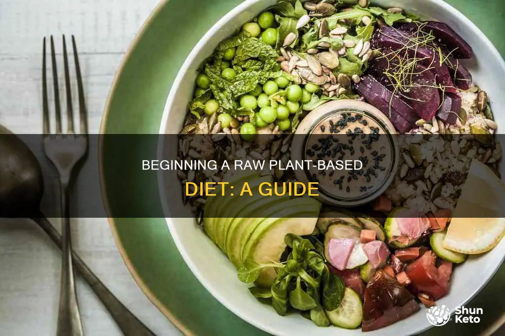 how to start a raw plant based diet