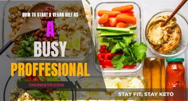 Vegan Diet for Busy Professionals: Getting Started