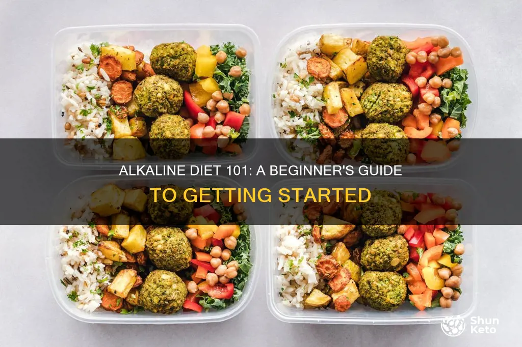 how to start alkaline diet plan