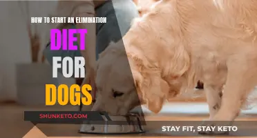 Elimination Diet for Dogs: Getting Started