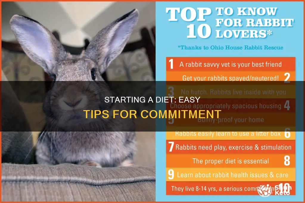 how to start and commit to a diet