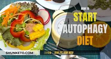Autophagy Diet: A Guide to Getting Started