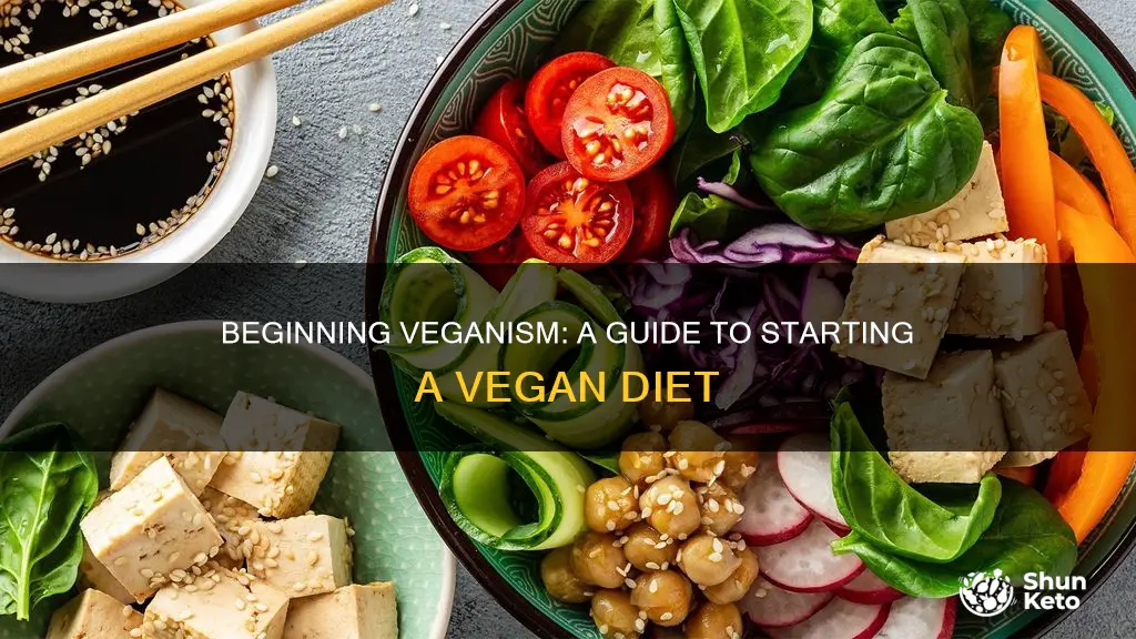 how to start ba vegan diet