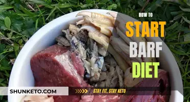 Starting BARF: A Guide for Beginners