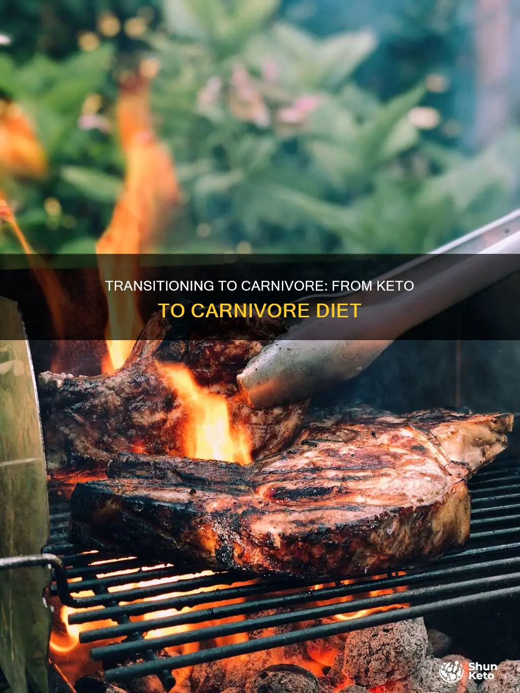 how to start carnivore after keto