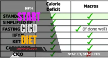 CICO Diet: A Beginner's Guide to Get Started