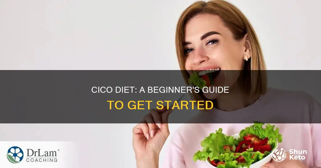 how to start cico diet