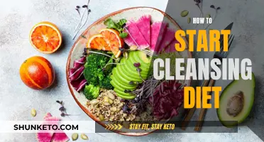 Cleansing Diets: A Beginner's Guide to Getting Started