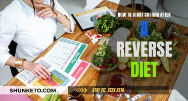 Reverse Diet Recovery: Cutting Strategies for Success