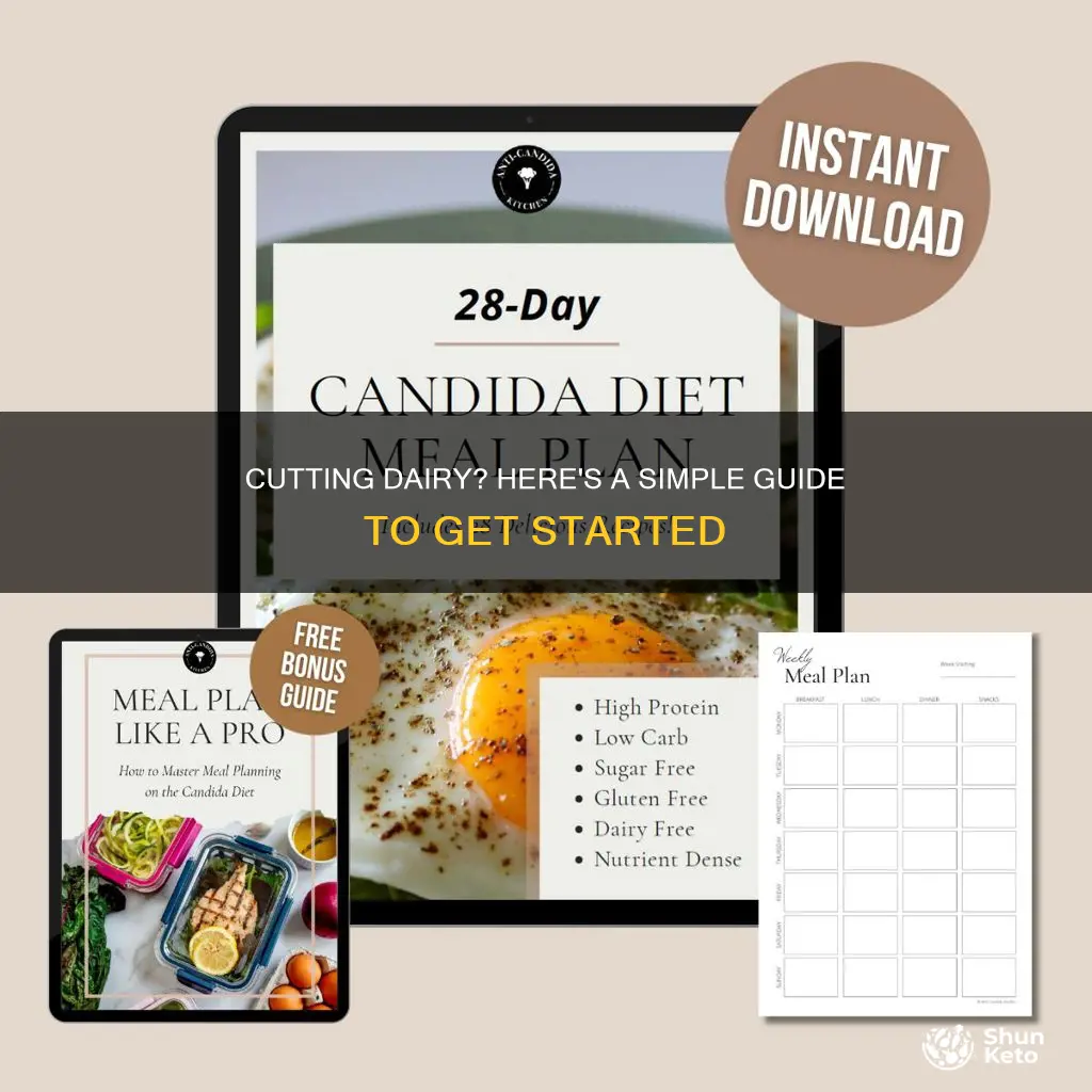 Cutting Dairy Here s A Simple Guide To Get Started ShunKeto cutting-dairy-here-s-a-simple-guide-to-get-started-shunketo
