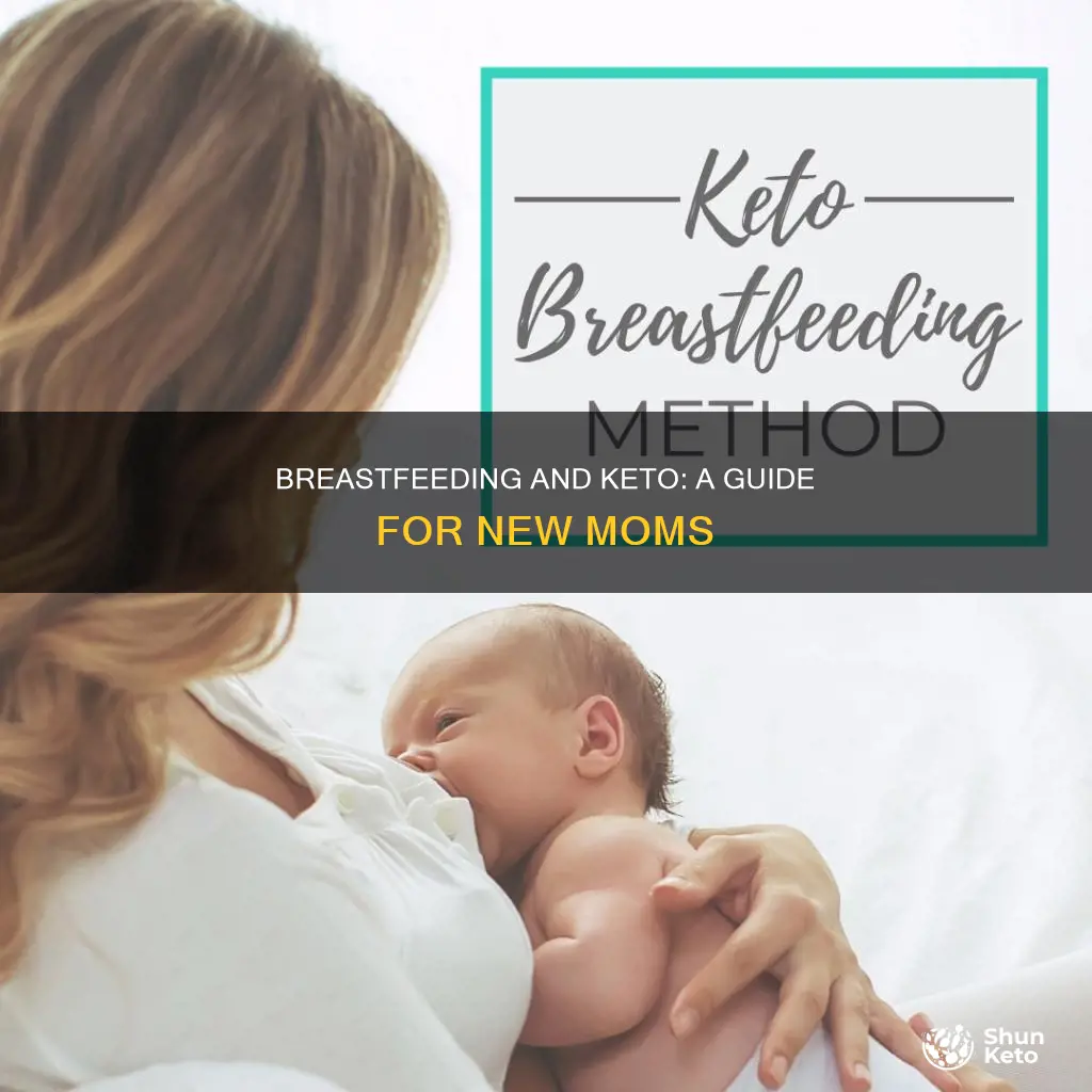 how to start keto while breastfeeding