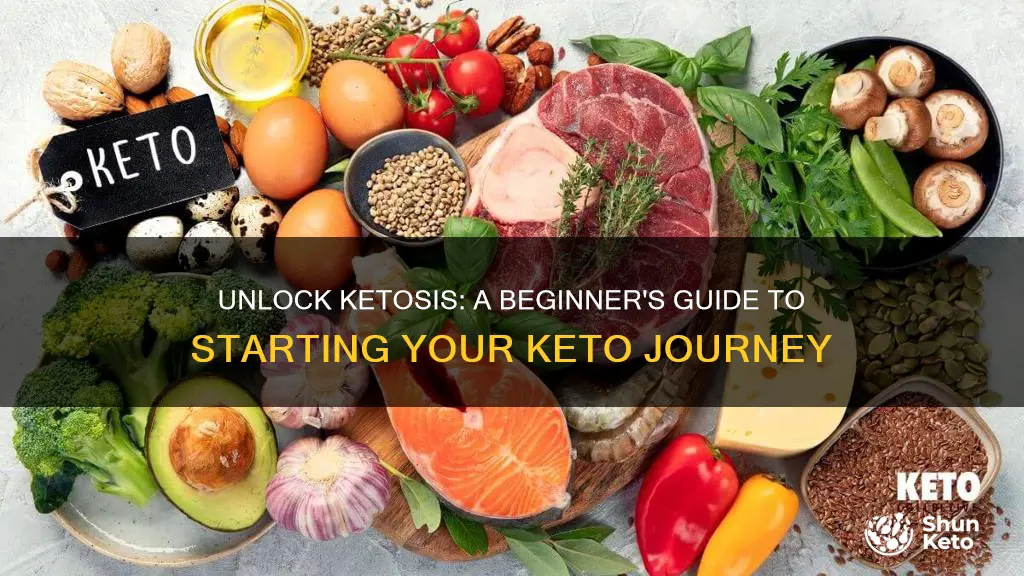 how to start ketosis diet plan