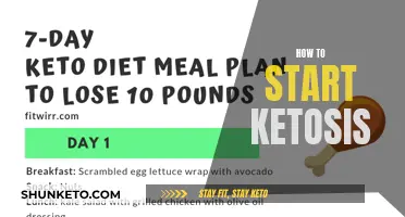 Kick-starting Ketosis: A Beginner's Guide to Ketosis