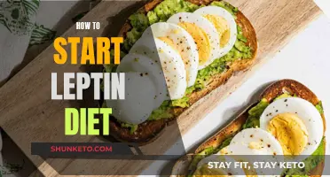 Beginning Your Leptin Diet: A Simple Guide
