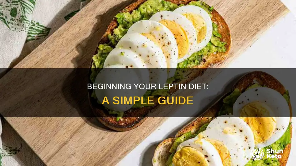 how to start leptin diet