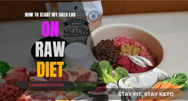 Switching Your Lab to Raw: A Beginner's Guide