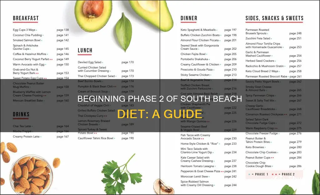 how to start phase 2 of south beach diet