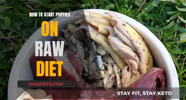 Transitioning Puppies to Raw: A Step-by-Step Guide