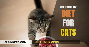 Raw Diet for Cats: Getting Started