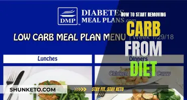 Kickstarting Your Carb-Free Diet: A Beginner's Guide