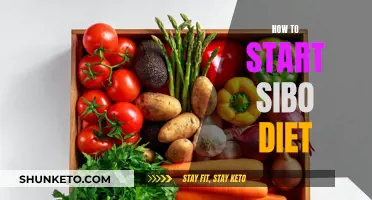 Starting the SIBO Diet: A Beginner's Guide