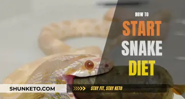 Snake Diet: Getting Started and Staying on Track
