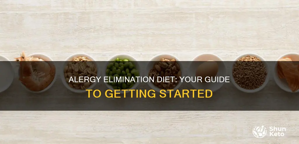 how to start the alergy elimination diet